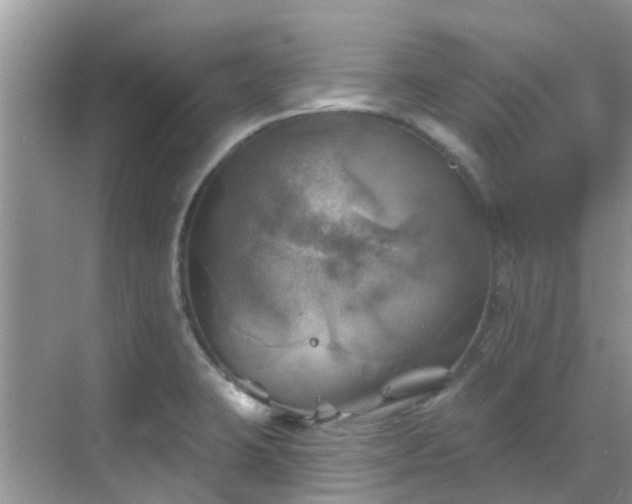 X0000068821423200605081134