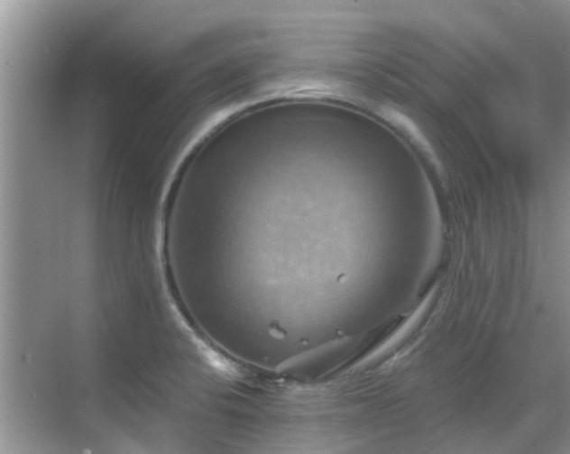 X0000068821424200605081134