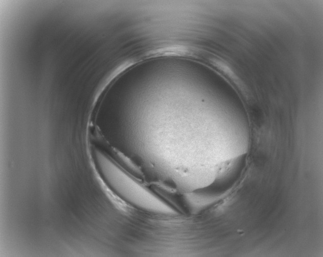 X0000068821426200605081134