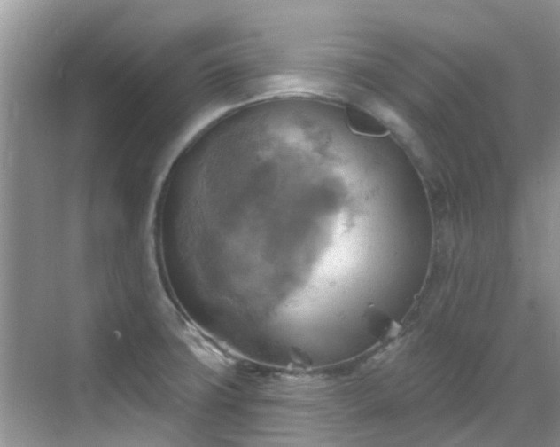 X0000068821427200605081134