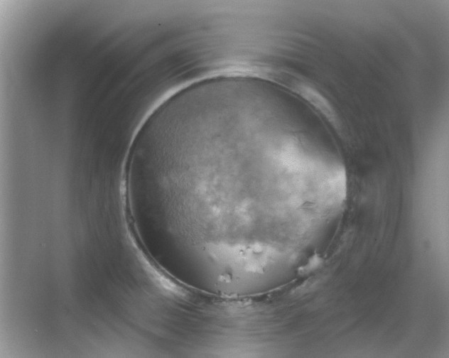 X0000068821428200605081134