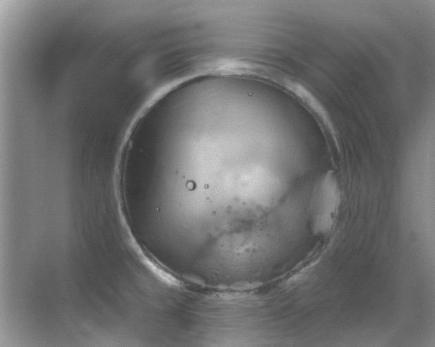 X0000068821429200605081134