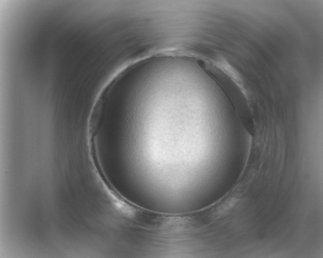 X0000068821430200605081134