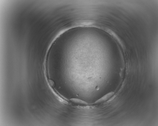 X0000068821432200605081134