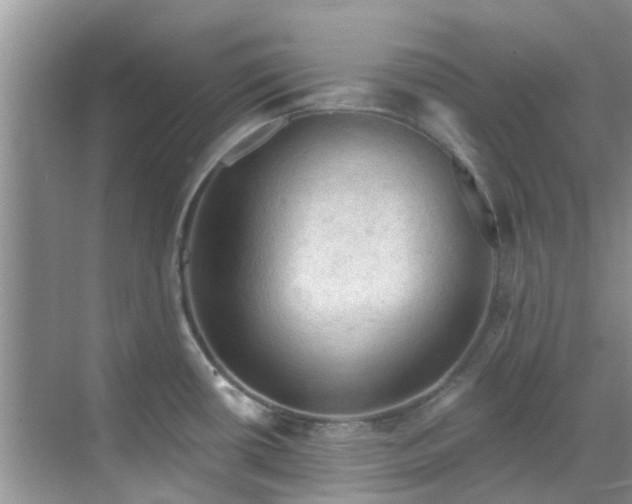 X0000068821434200605081134