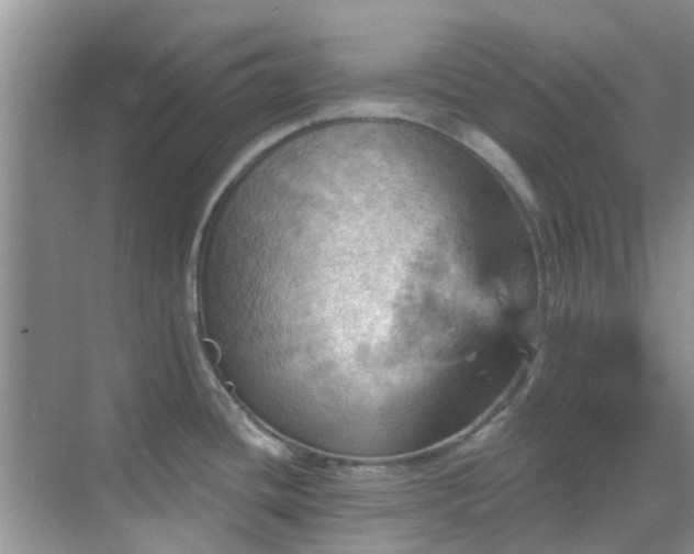 X0000068821436200605081134