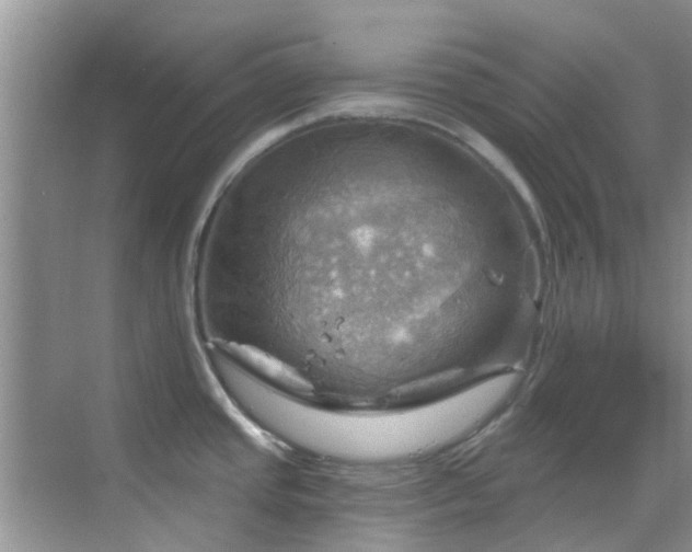 X0000068821437200605081134