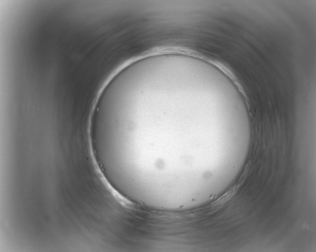 X0000068821438200605081134