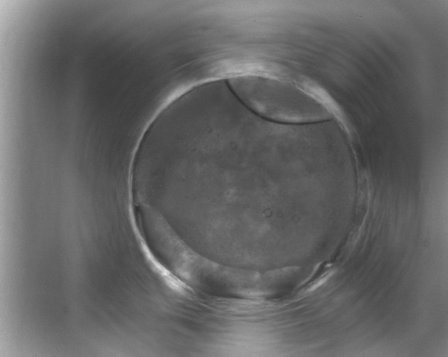 X0000068821439200605081134