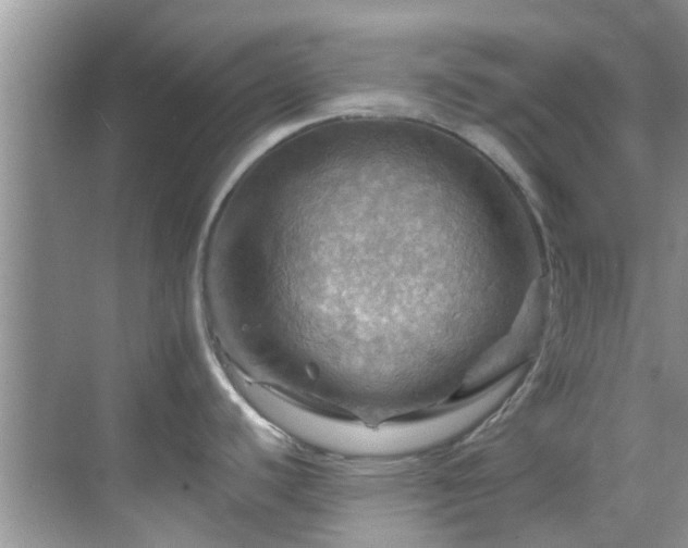 X0000068821440200605081134