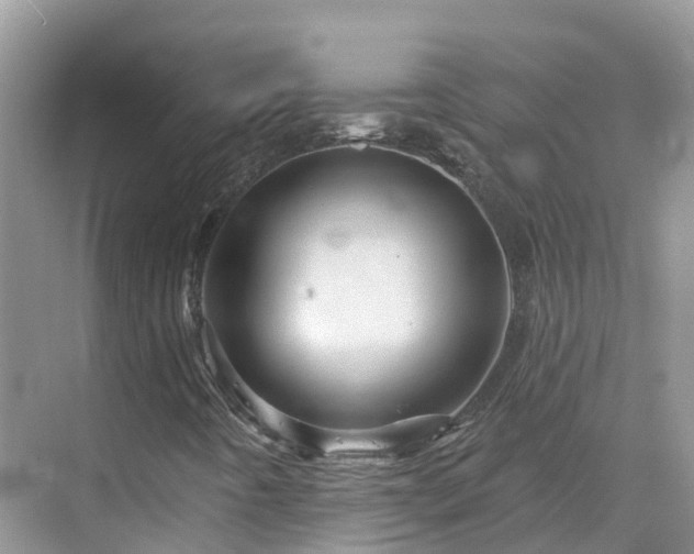 X0000068821442200605081133