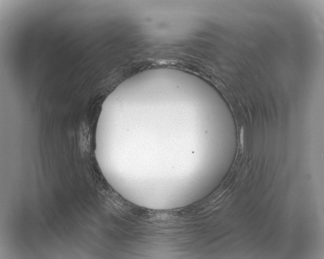 X0000068821443200605081133