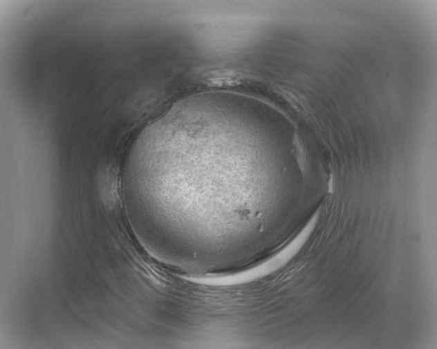 X0000068821444200605081133