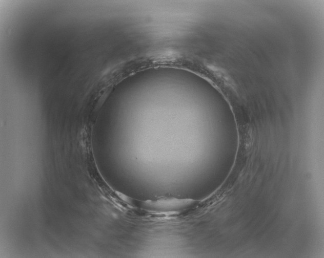 X0000068821445200605081133