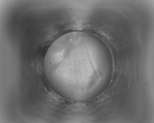 X0000068821446200605081133