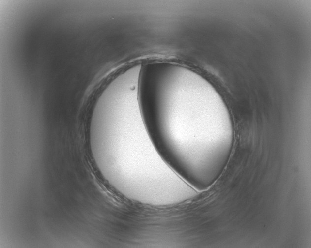 X0000068821448200605081133