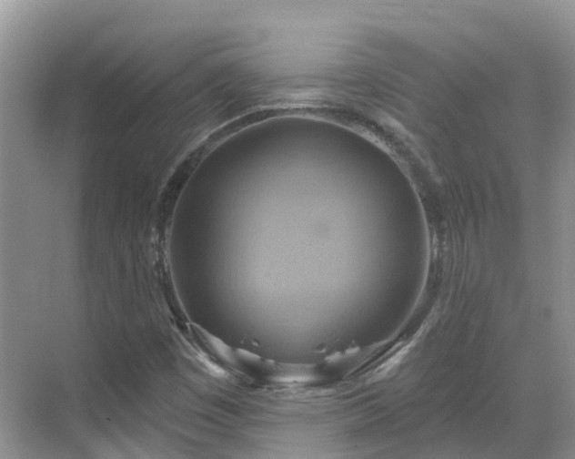 X0000068821449200605081133