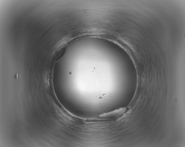 X0000068821451200605081133