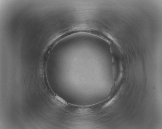 X0000068821453200605081133