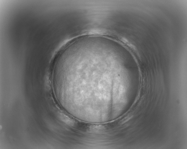 X0000068821454200605081133