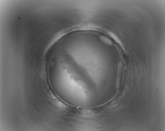 X0000068821456200605081133