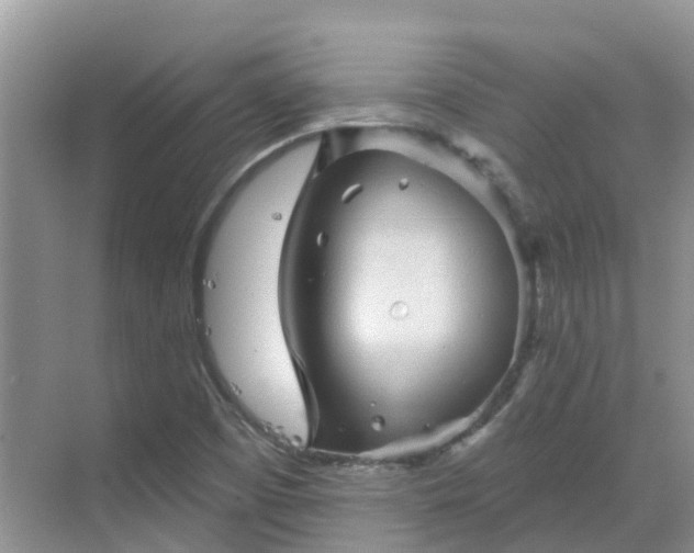 X0000068821457200605081133