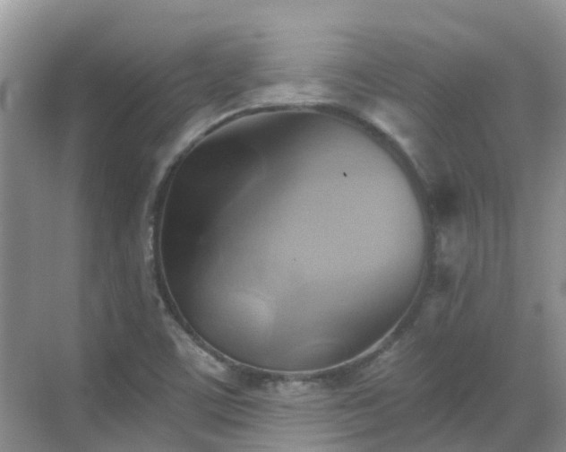 X0000068821459200605081133