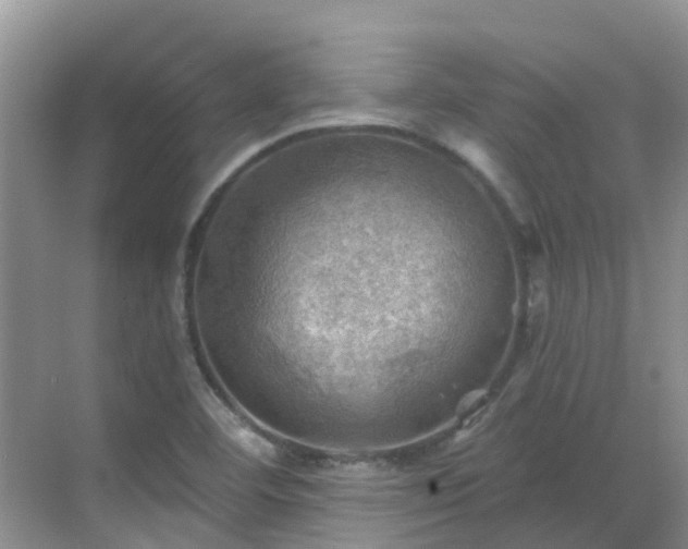 X0000068821460200605081133