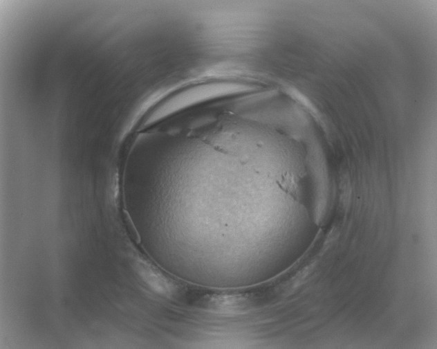 X0000068821461200605081133