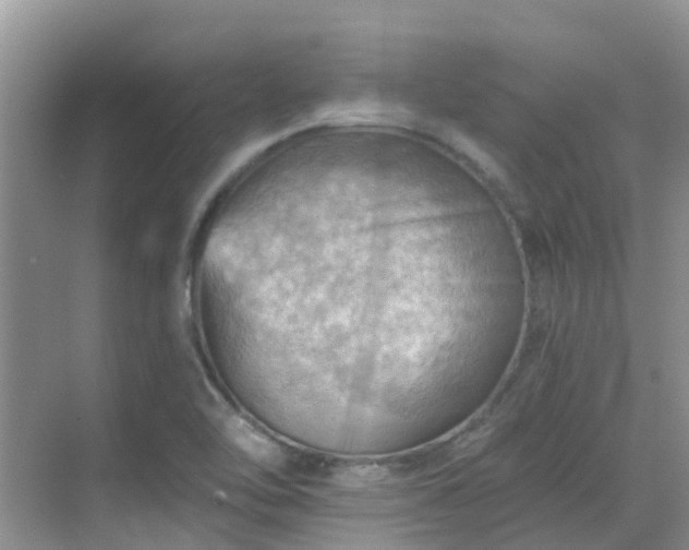 X0000068821462200605081133