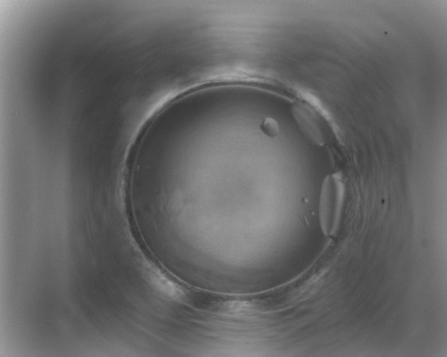 X0000068821463200605081133