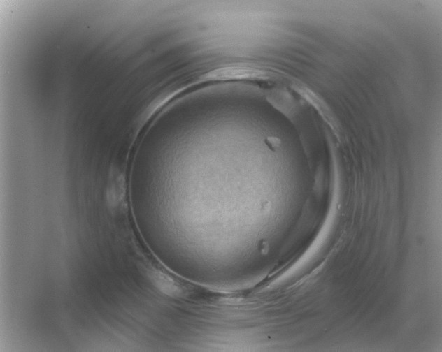 X0000068821465200605081133