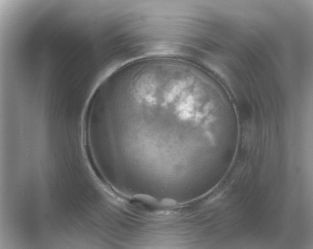 X0000068821467200605081133