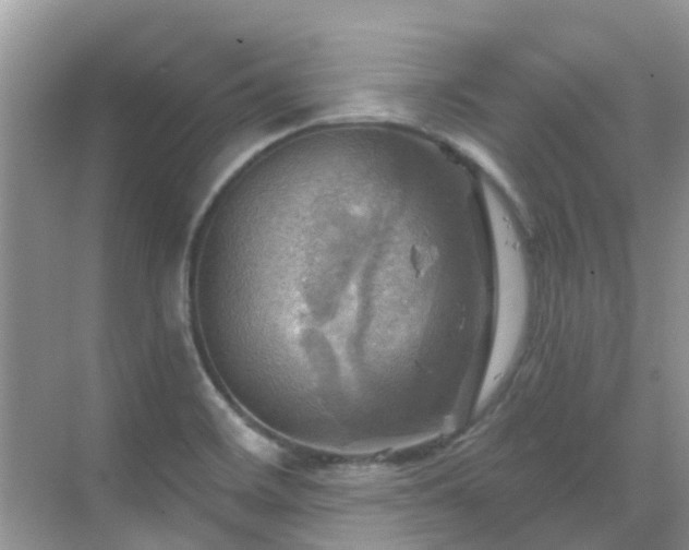 X0000068821468200605081133