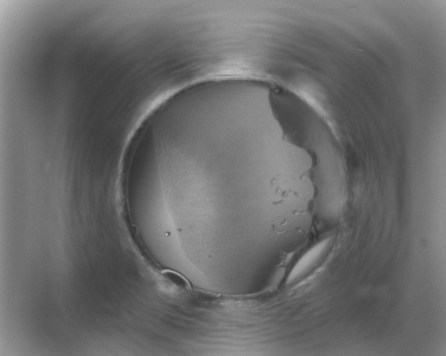 X0000068821469200605081133