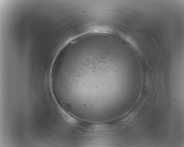 X0000068821471200605081133