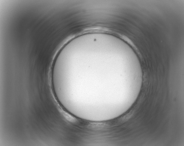 X0000068821474200605081132