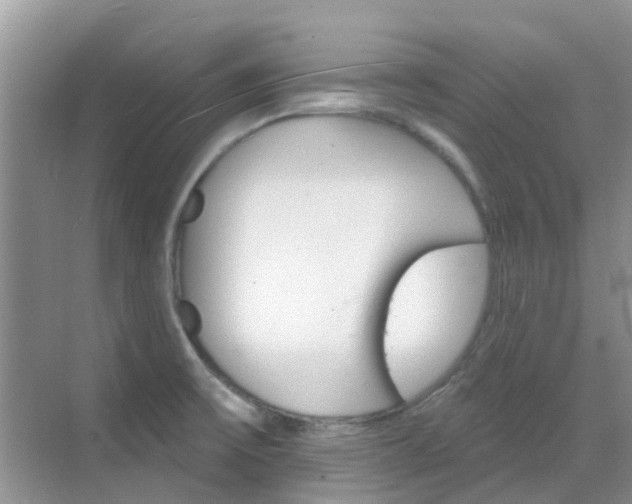 X0000068821475200605081132