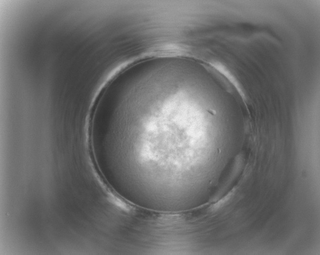 X0000068821477200605081132