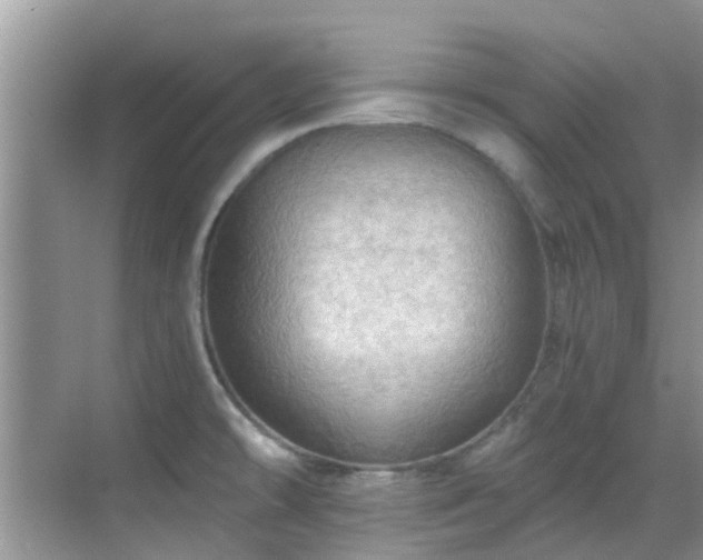 X0000068821478200605081132