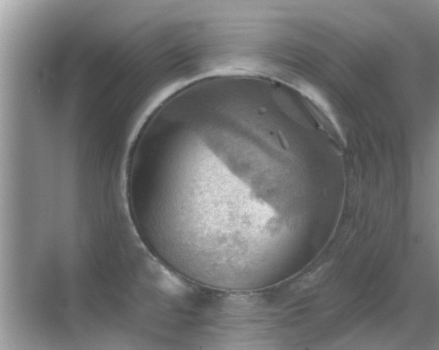 X0000068821480200605081132