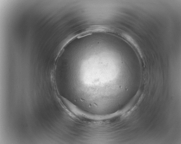 X0000068821481200605081132