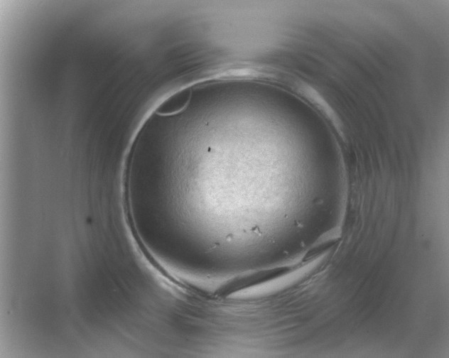 X0000068821483200605081132