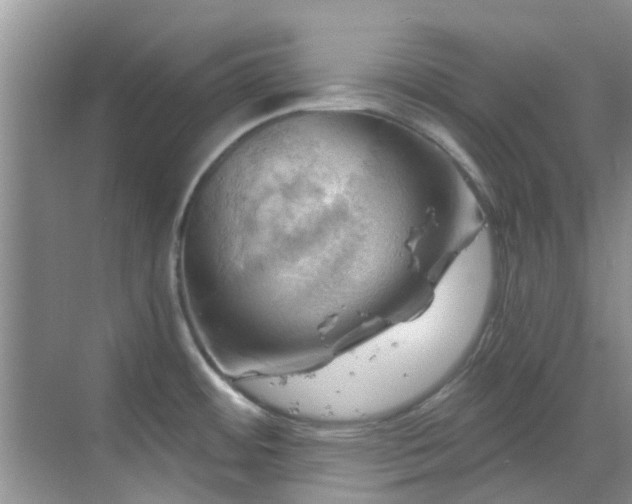 X0000068821484200605081132