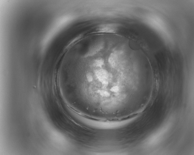 X0000068821487200605081132