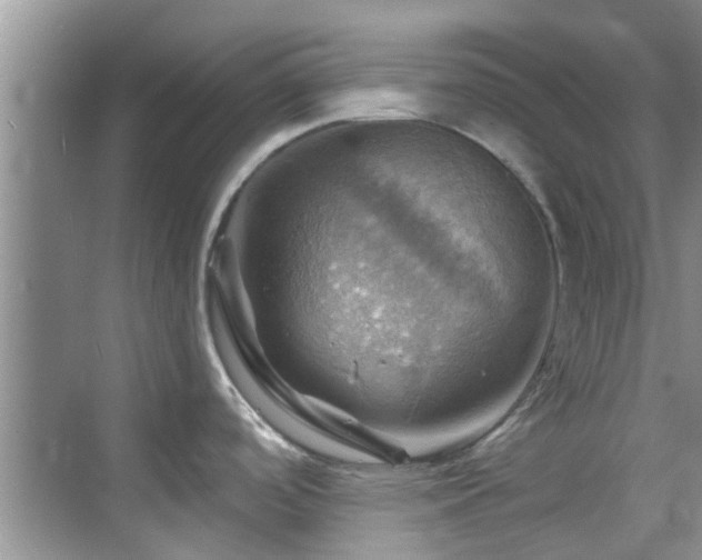 X0000068821488200605081132