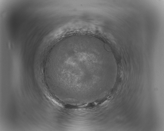 X0000068821489200605081131