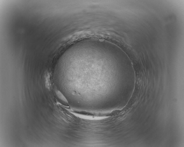 X0000068821490200605081131