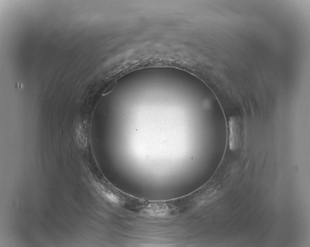 X0000068821491200605081131