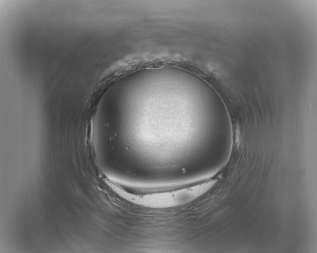 X0000068821492200605081131